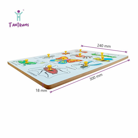 Preschool Insect Puzzle for Learning Various Insects with Pictures and knobs | Tantrums Wooden Toys - photo 2