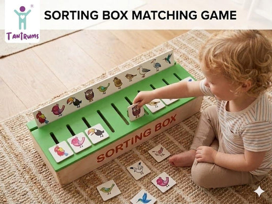 Wooden Montessori Sorting Box Educational Toy, Learning Activities for Toddlers, Preschool STEM Games, Montessori Classification Box, Ages 1-4 Years | Tantrums Wooden Toys - photo 3