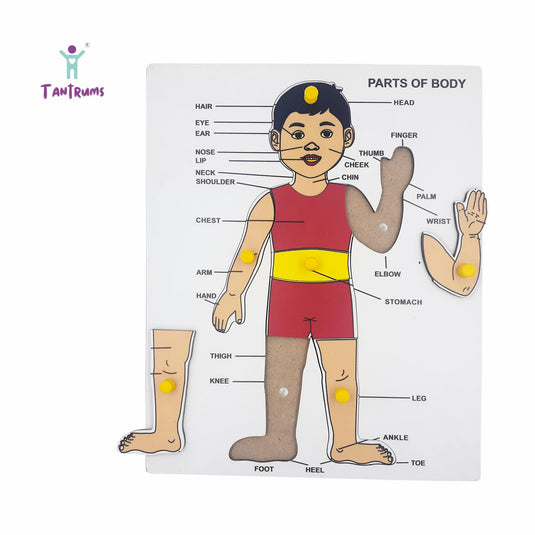 Preschool Wooden Educational Puzzle for Kids Learning Helpful in Developing Hand Eye Concentration and Motor Skills with Self-Correcting Match (Bird, Fruit, Parts of Body, Small ABC Puzzle) | Tantrums Wooden Toys - photo 3