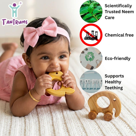 Neem Wood Baby Teether Combo, Bird and Moving Elephant, Natural, Montessori-Inspired, 2 Pieces | Tantrums Wooden Toys - photo 4