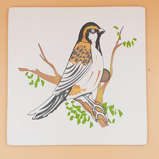 Montessori Zoology & Botany Puzzle | Tantrums Wooden Toys