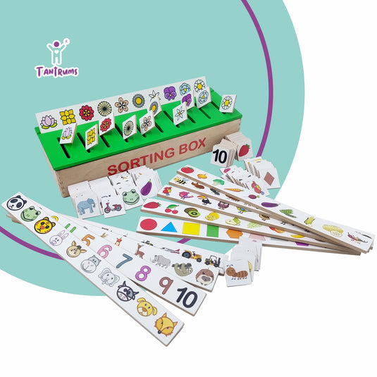 Tantrums Wooden Sorting Box (with 10 Themes)
