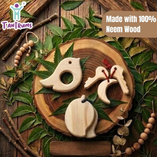Neem Wood Baby Teether Toy Combo, Bird, Smart Key and Mango Tic Tac, Montessori, 3-in-1 Set for Newborns | Tantrums Wooden Toys - photo 4
