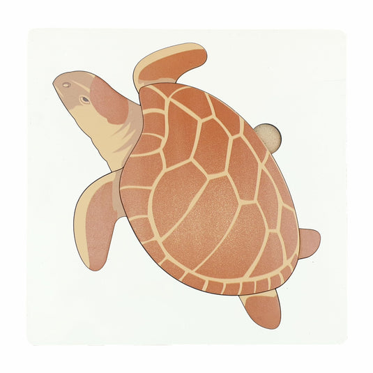 Montessori Zoology & Botany Puzzle Tortoise Set | Tantrums Wooden Toys