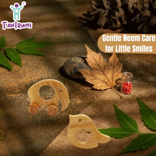 Neem Wood Baby Teether Combo, Bird and Moving Elephant, Natural, Montessori-Inspired, 2 Pieces | Tantrums Wooden Toys - photo 3
