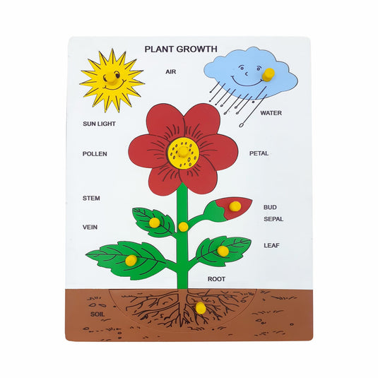Preschool Wooden Educational Puzzle for Kids Learning Helpful in Developing Hand Eye Concentration and Motor Skills with Self-Correcting Match (Plant Growth Puzzle) | Tantrums Wooden Toys