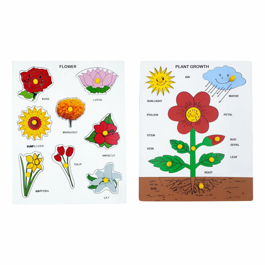 Educational Wooden Flower Puzzle, Plant Growth Learning Board, Self-Correcting Match Game for Preschool Kids | Tantrums Wooden Toys