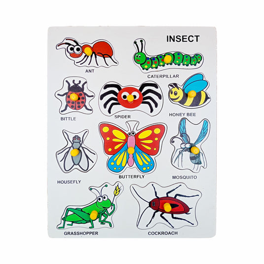 Preschool Insect Puzzle for Learning Various Insects with Pictures and knobs | Tantrums Wooden Toys