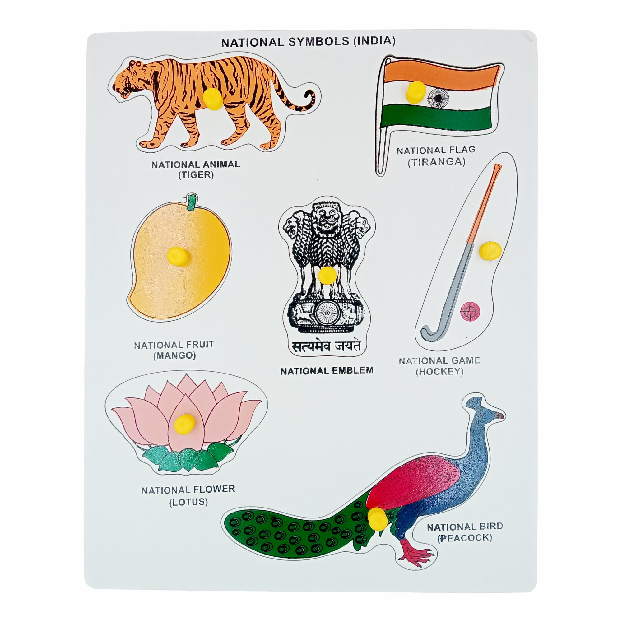 Indian National Animal Bird Flower National Symbols Of India By