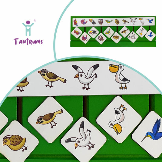 Tantrums Wooden Sorting Box (with 10 Themes)