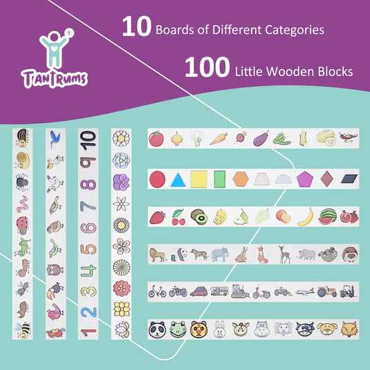 Tantrums Wooden Sorting Box (with 10 Themes)